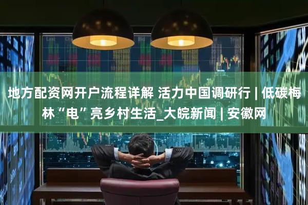 地方配资网开户流程详解 活力中国调研行 | 低碳梅林“电”亮乡村生活_大皖新闻 | 安徽网