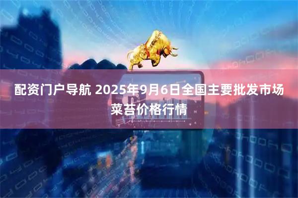 配资门户导航 2025年9月6日全国主要批发市场菜苔价格行情
