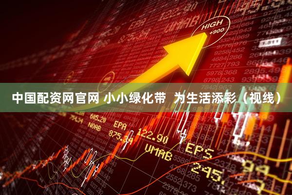 中国配资网官网 小小绿化带  为生活添彩（视线）
